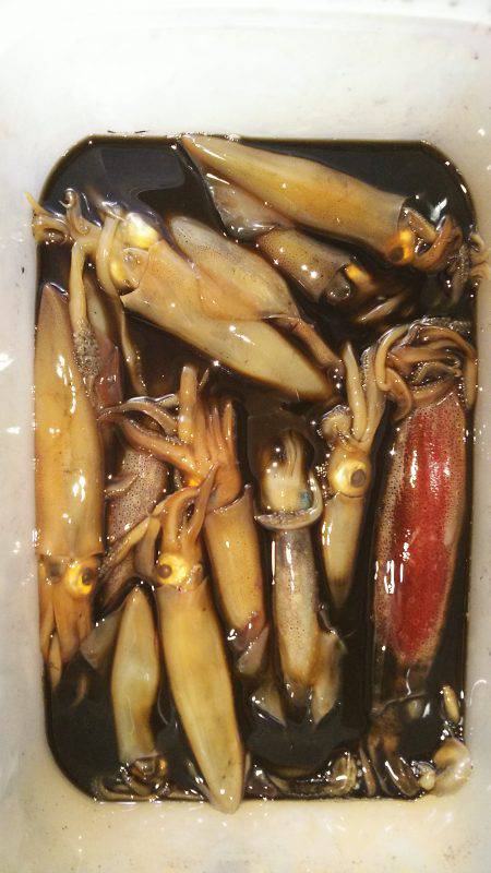 ライトエギング