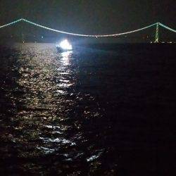 タコしか釣れない