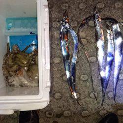 思わぬゲストが…