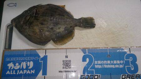 最後にラッシュ