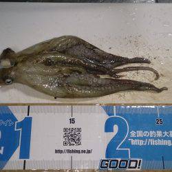 またマッチョなやつに