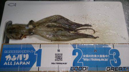 またマッチョなやつに