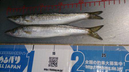 群れがガサガサ