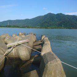 チヌ狙いにヒラメ(笑)