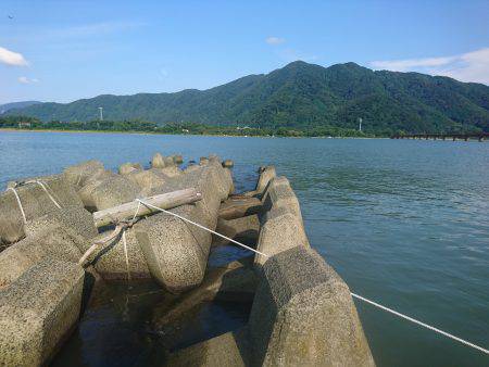 チヌ狙いにヒラメ(笑)