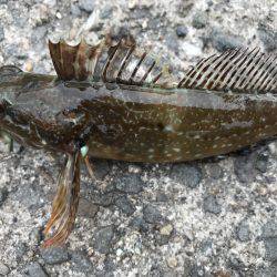 昨日の今日で…。