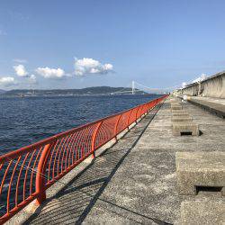 ロックフィッシュは最高‼️