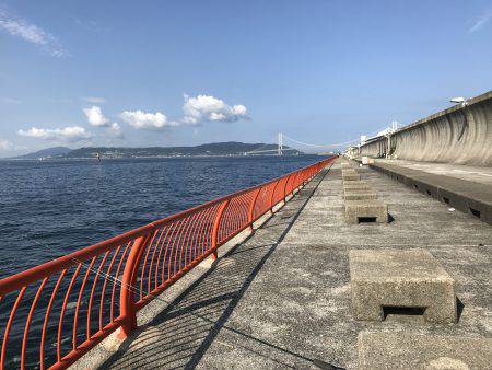 ロックフィッシュは最高‼️