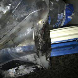 イカ数釣りを求めて