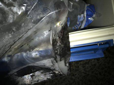 イカ数釣りを求めて