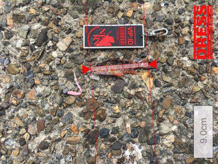 ロックフィッシュのはずが、、、、、