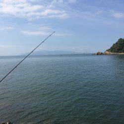 キスは喰いが渋かった