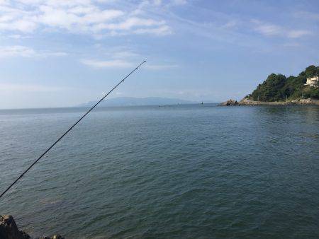 キスは喰いが渋かった