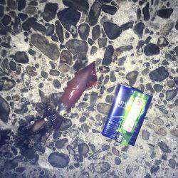 ケンサキやや渋かった