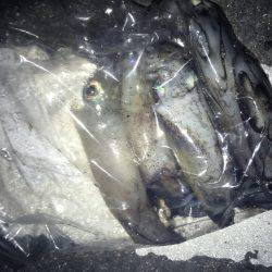 風があるけど出動