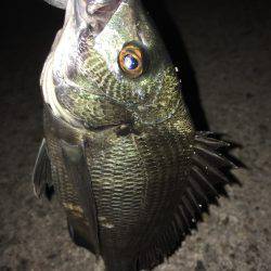 音漏れフィッシング