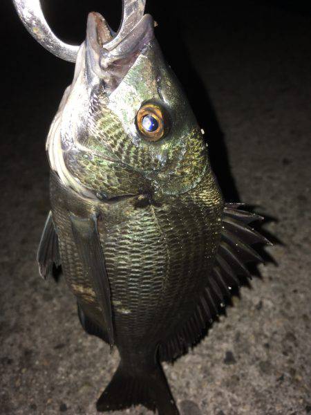 音漏れフィッシング