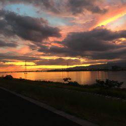 真チヌ ランカーサイズ!!