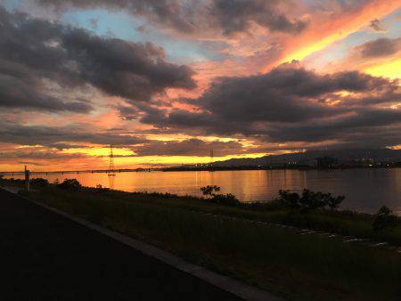 真チヌ ランカーサイズ!!