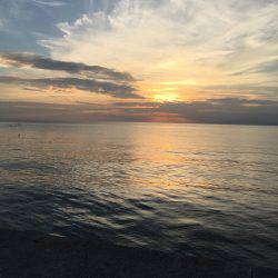 初、淡路島釣り早朝のみ太刀魚の反応あり