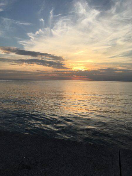 初、淡路島釣り早朝のみ太刀魚の反応あり