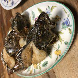 室津漁港で夜釣り