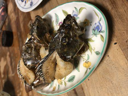 室津漁港で夜釣り