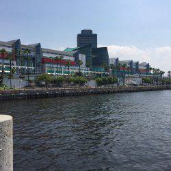 朝からコスモ夕方まで〜✌️