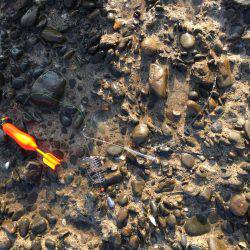 磯からのカゴ釣り