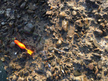 磯からのカゴ釣り