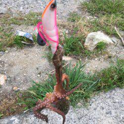 休日の早朝に♪