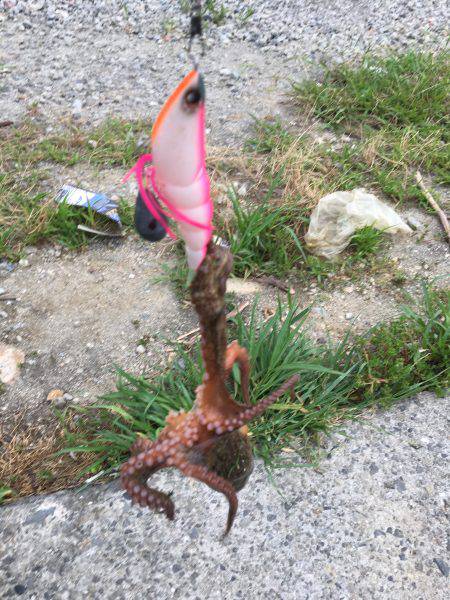 休日の早朝に♪