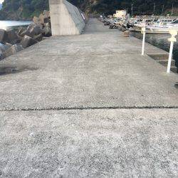 サビキで豆アジ