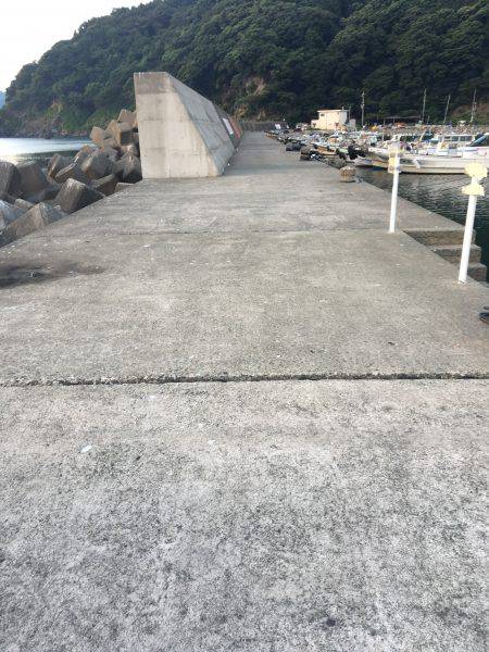 サビキで豆アジ