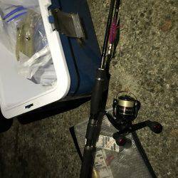 台風前ケンサキ調査