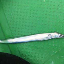 オフショアゲーム