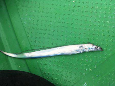 オフショアゲーム