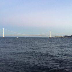 ちょっと寄り道ケンサキ