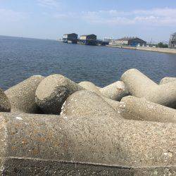 キビレばっかり！