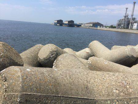 キビレばっかり！