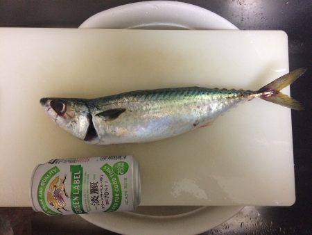 ケンサキ狙いのはずが…