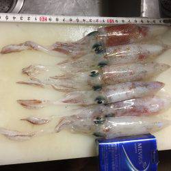 誕生日のプレゼントかな？