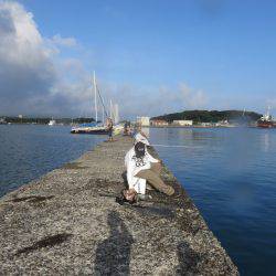 恐るべし自衛隊堤防