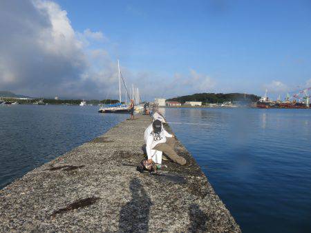 恐るべし自衛隊堤防