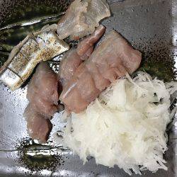 ポーアイ沖でぎりハマチ