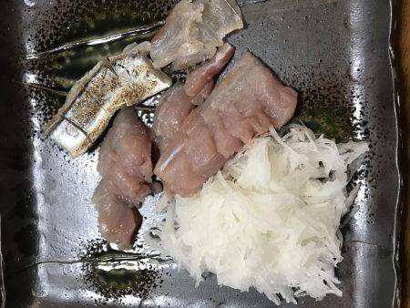 ポーアイ沖でぎりハマチ