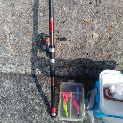 タコって地合があるの？