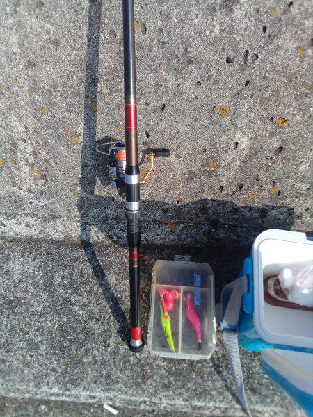 タコって地合があるの？