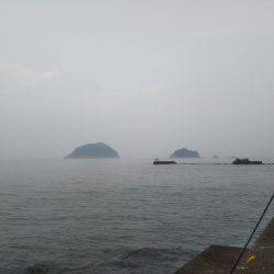 阿南市の辰巳でタチウオテンヤ