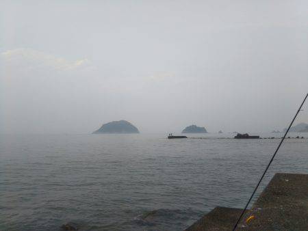 阿南市の辰巳でタチウオテンヤ